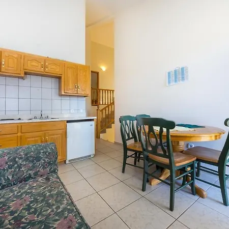 Golden Shell * 무르테르