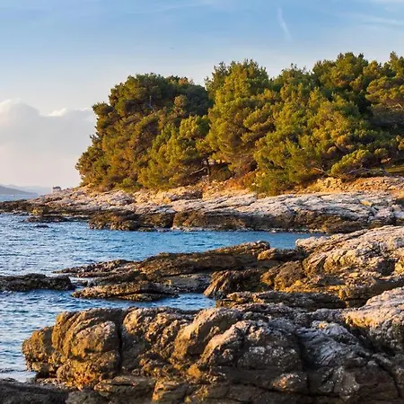 아파트 Golden Shell *