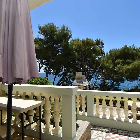 Golden Shell * 무르테르