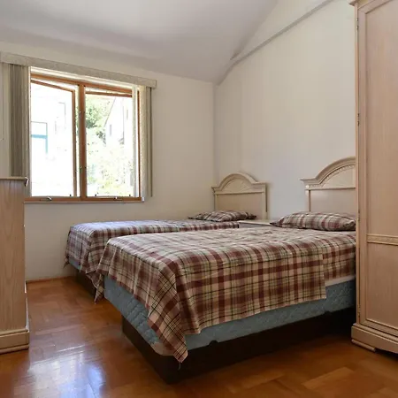 Golden Shell 무르테르