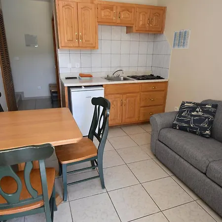 Golden Shell * 무르테르