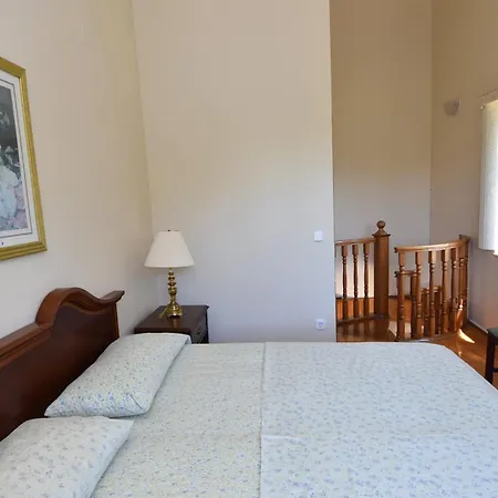 Golden Shell 무르테르