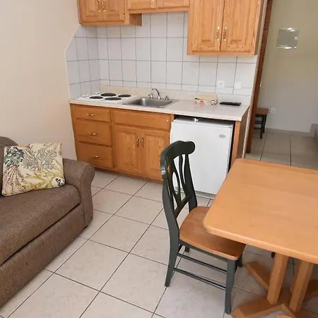 Golden Shell * 무르테르