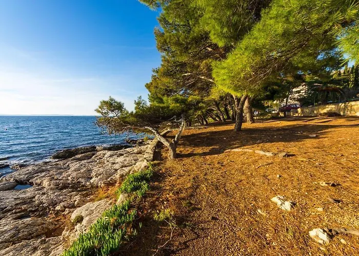 Golden Shell Apartamento Murter