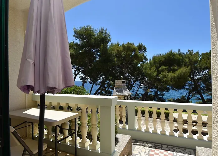 Golden Shell * Murter