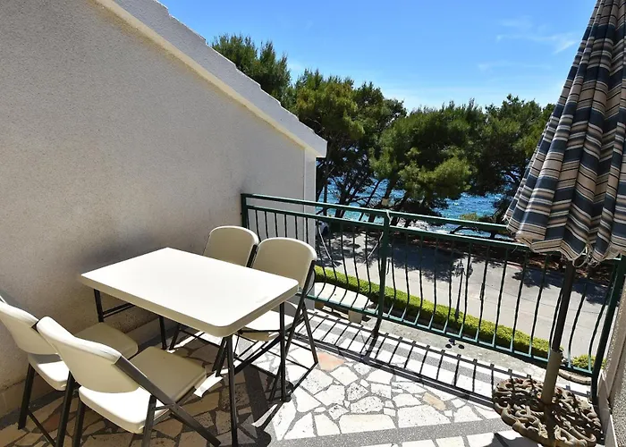 Golden Shell * Murter