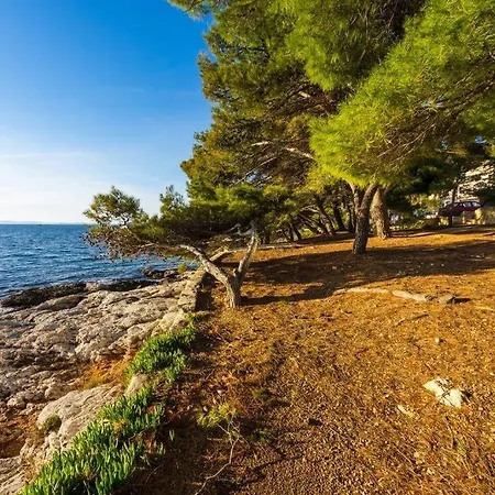 Golden Shell Appartement Murter