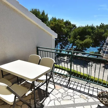 Golden Shell * Murter